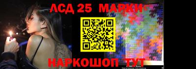 Альфа ПВП Новодвинск