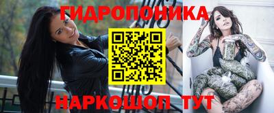 индика Новокубанск