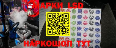 Альфа ПВП Новодвинск
