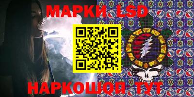 Альфа ПВП Новодвинск