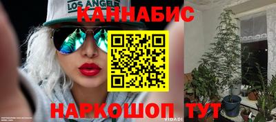 индика Новокубанск