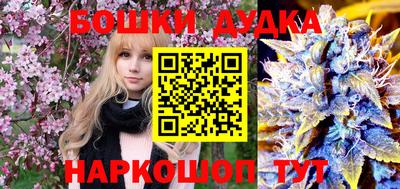 индика Новокубанск