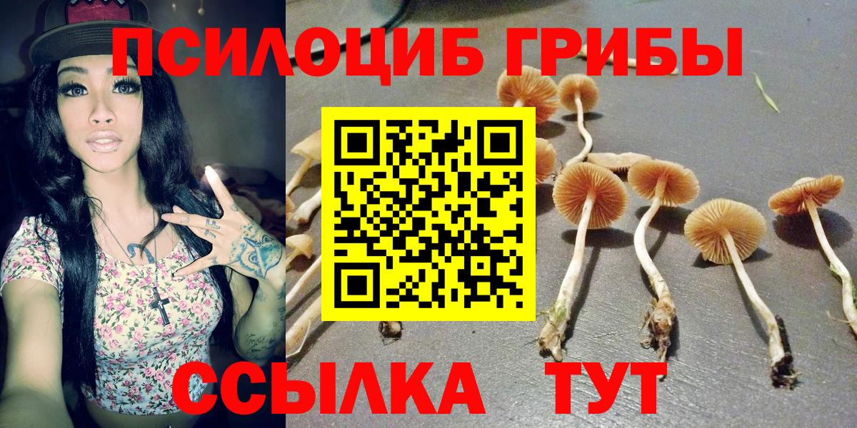 Галлюциногенные грибы ЛСД Урус-Мартан