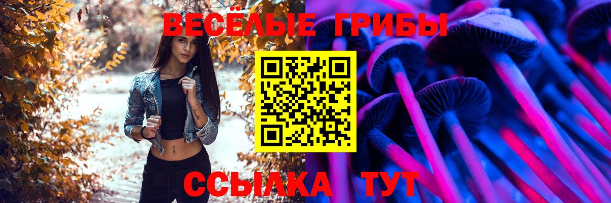 Урус-Мартан  Галлюциногенные грибы мицелий  Вход с VPN 